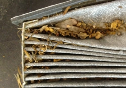 Is Replacing a Cabin Air Filter Necessary?